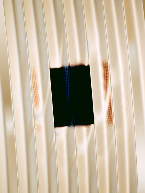 Item #484000248 Media