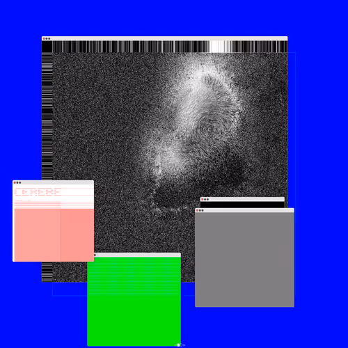 Cerebellum #152