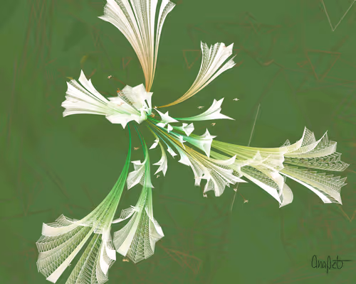 Item #378000255 Media