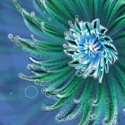 Fleur #156