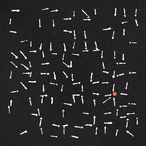 Item #387000081 Media