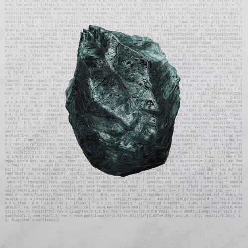 This Is Not A Rock By Nicole Vella