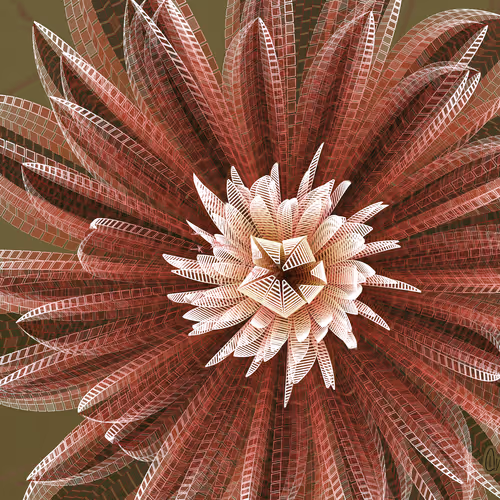 Fleur #2
