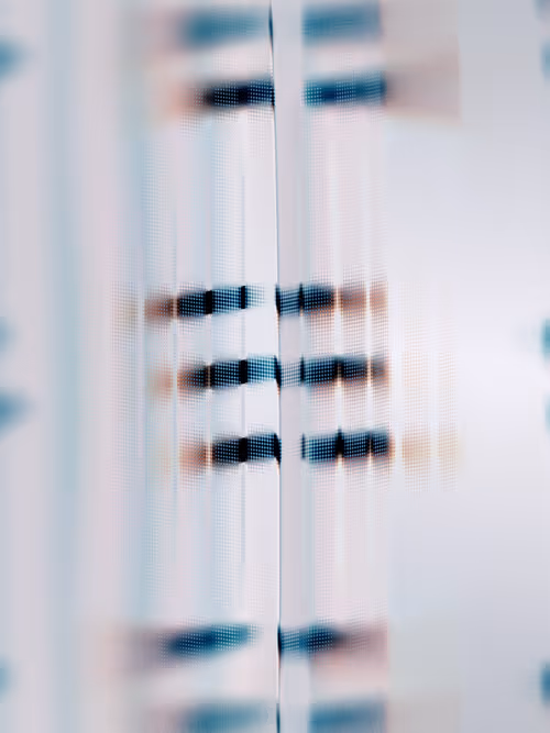 Item #484000084 Media