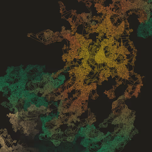 Mycelia By Jmy