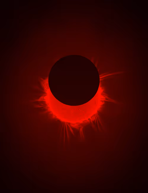 Item #423000254 Media