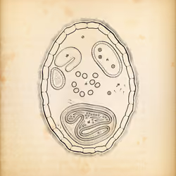 Cytographia #393