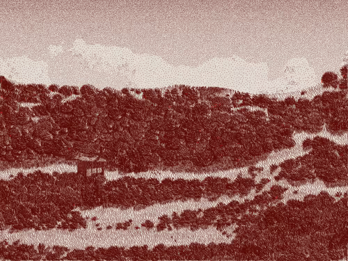 Item #476000081 Media