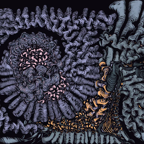 Spaghetti Bones #458