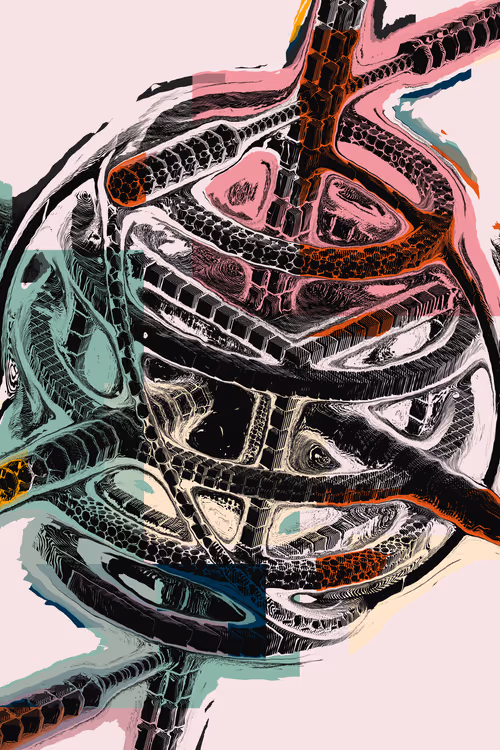 Item #462000120 Media