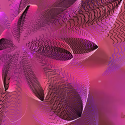 Fleur #65
