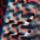 484000149