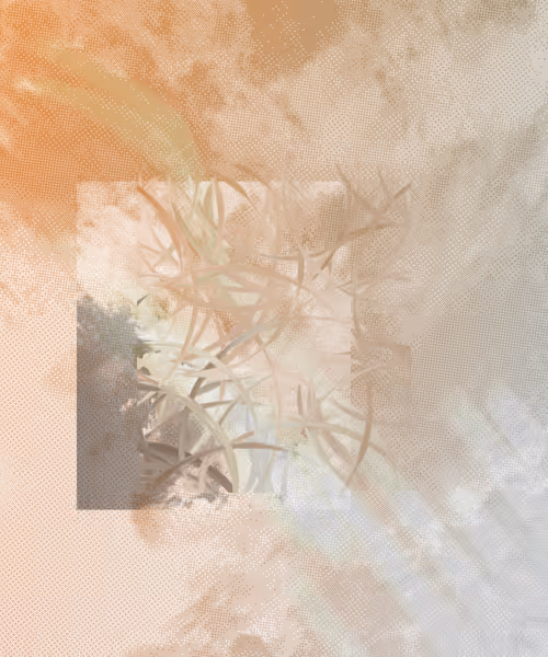 Item #405000148 Media