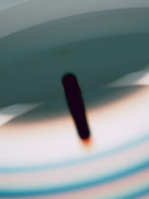 Item #484000207 Media