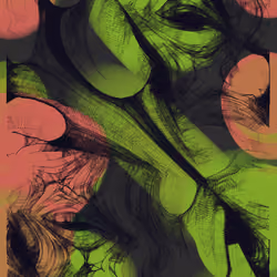 Naïve #48