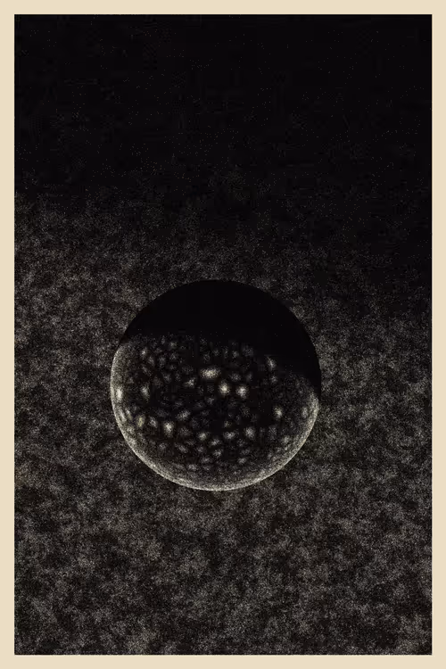 Item #434000062 Media