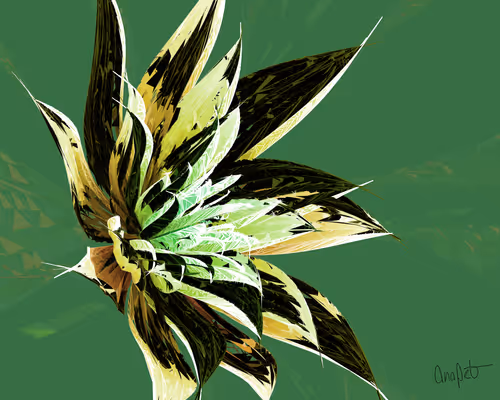 Item #378000085 Media