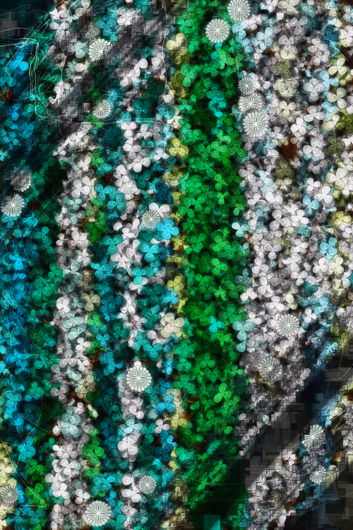 Item #478000010 Media