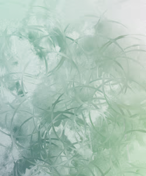 Item #405000091 Media