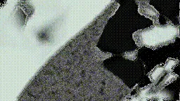 Item #472000266 Media