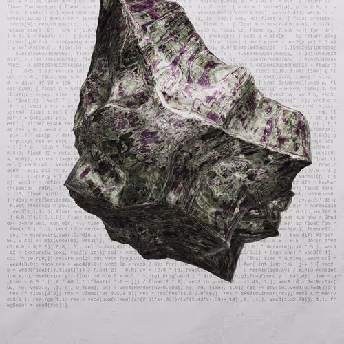 This Is Not A Rock By Nicole Vella