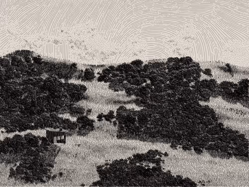 Item #476000056 Media