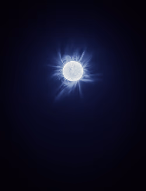 Item #423000063 Media