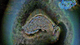 Item #472000355 Media