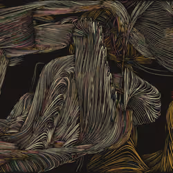 Spaghetti Bones #19