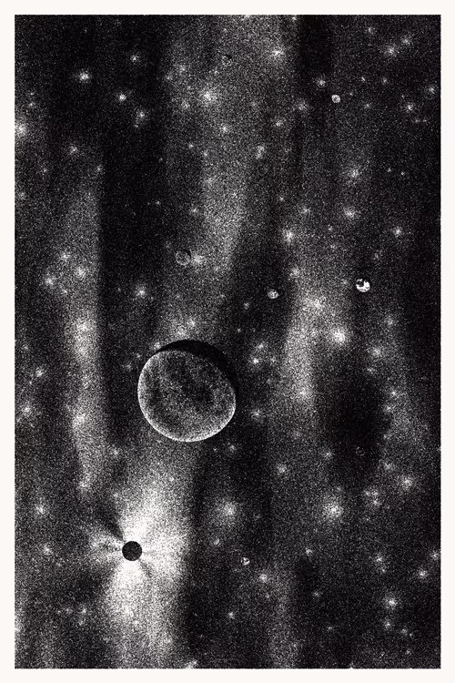 Item #434000231 Media