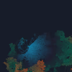 Mycelia #34