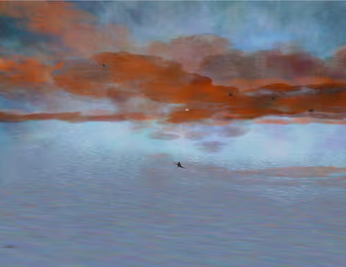 Item #459000061 Media