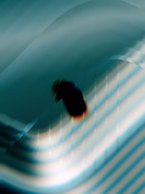 Item #484000297 Media