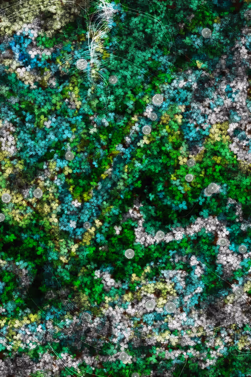 Item #478000005 Media