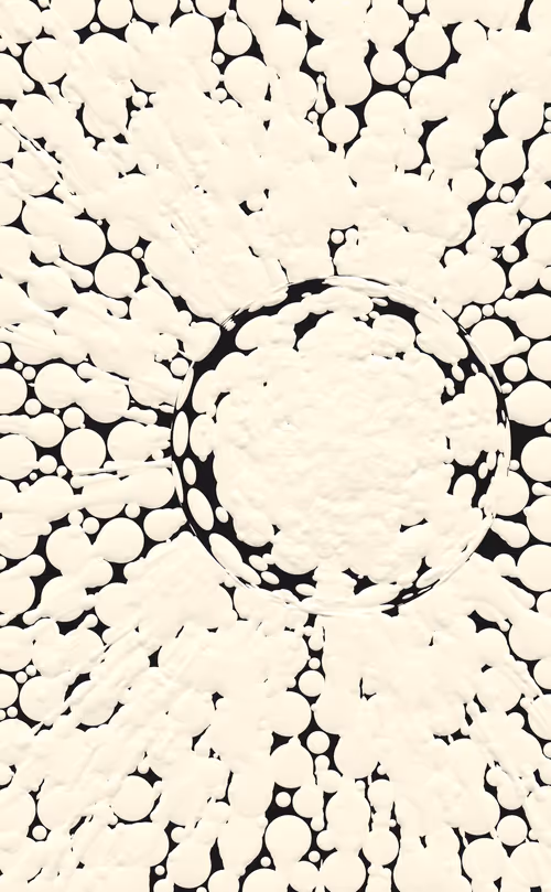 Item #486000350 Media