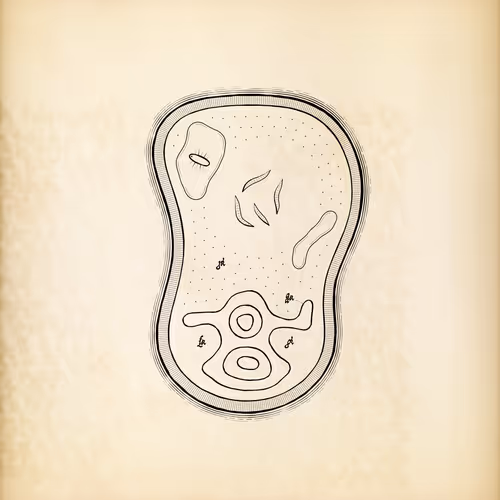 Cytographia #354