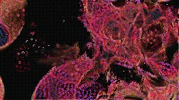 Item #472000009 Media