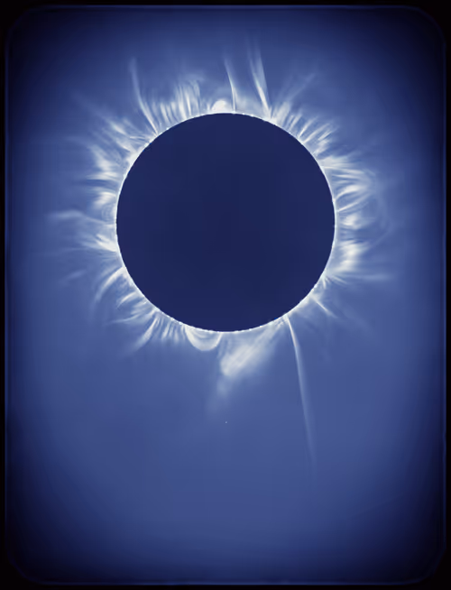 Item #423000211 Media