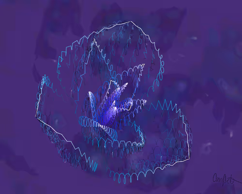 Item #378000067 Media