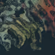 458000029