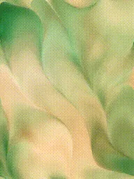 Item #399000214 Media