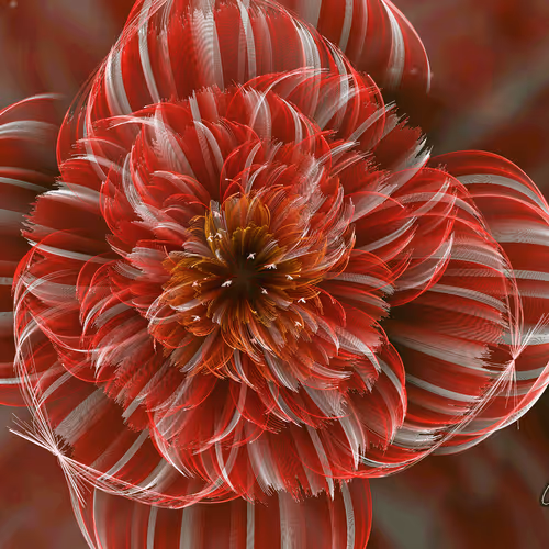 Fleur #185