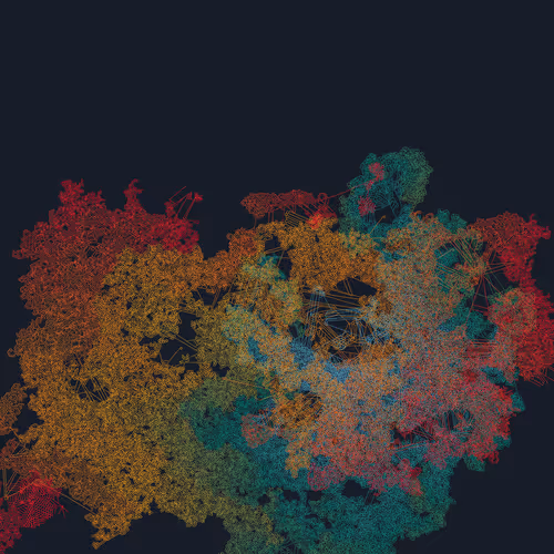 Mycelia #164