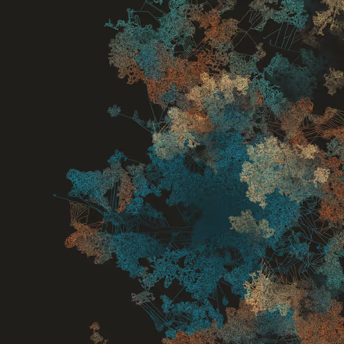 Mycelia By Jmy