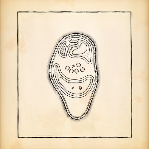 Cytographia By Golan Levin