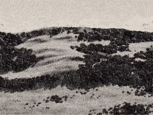 Item #476000000 Media