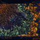 456000403