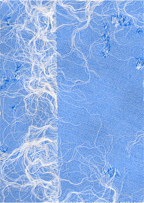 Item #410000102 Media