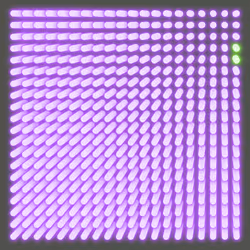 Bright #341