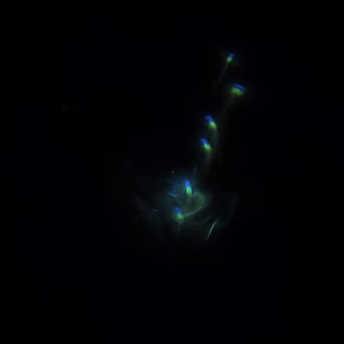 Item #424000048 Media